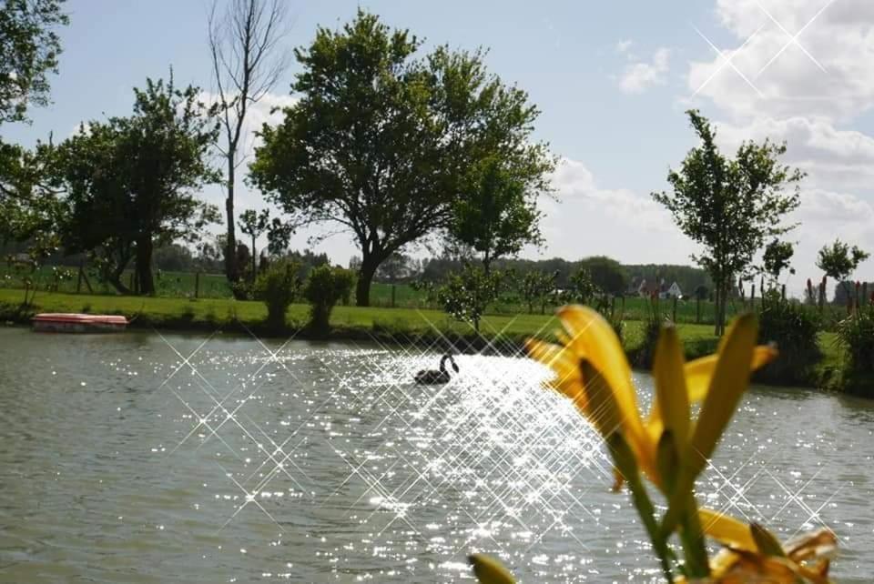 Gite Canard Fromelles Bagian luar foto