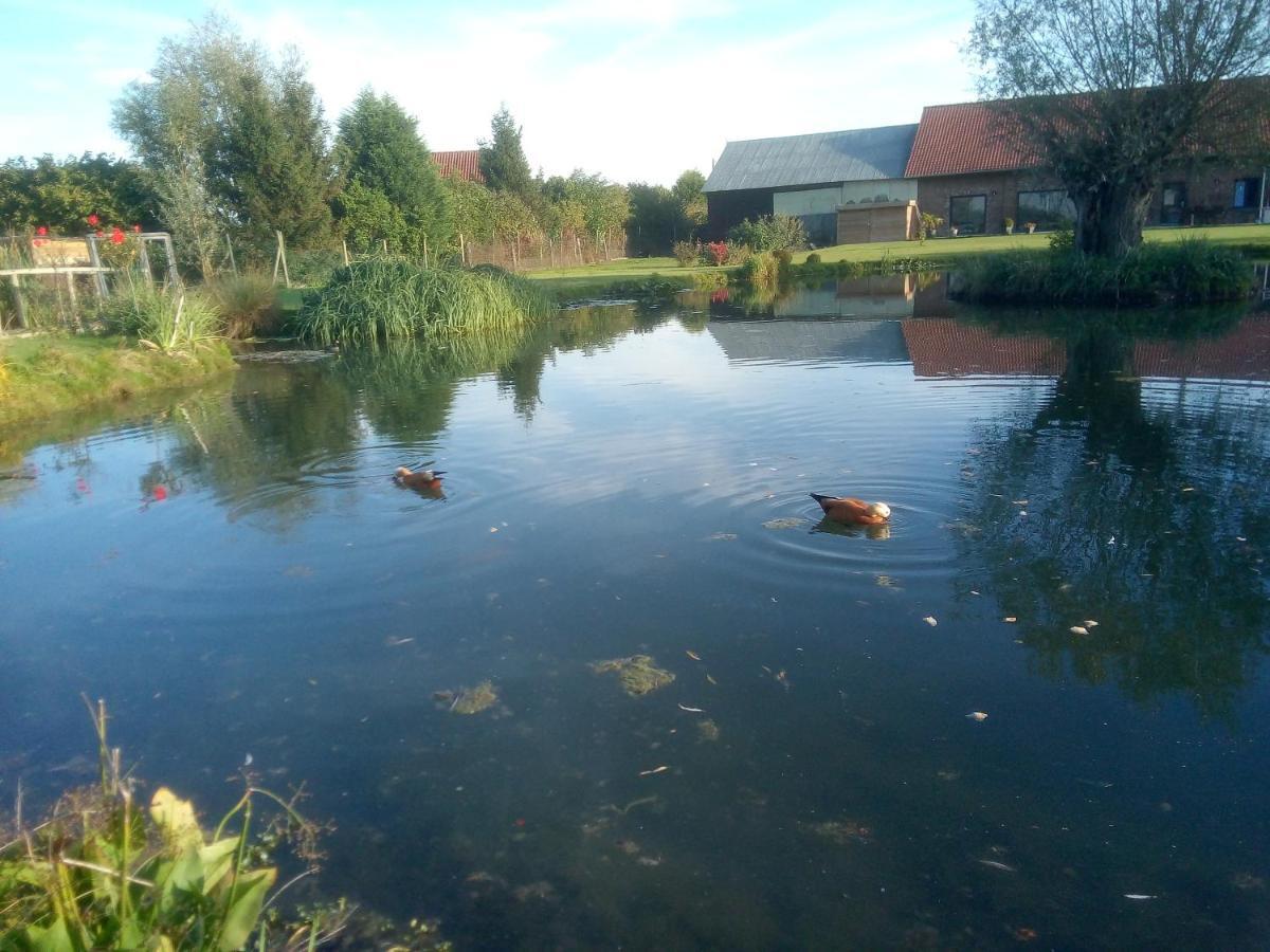 Gite Canard Fromelles Bagian luar foto